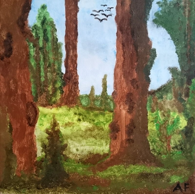 Das Fenster zur Seele