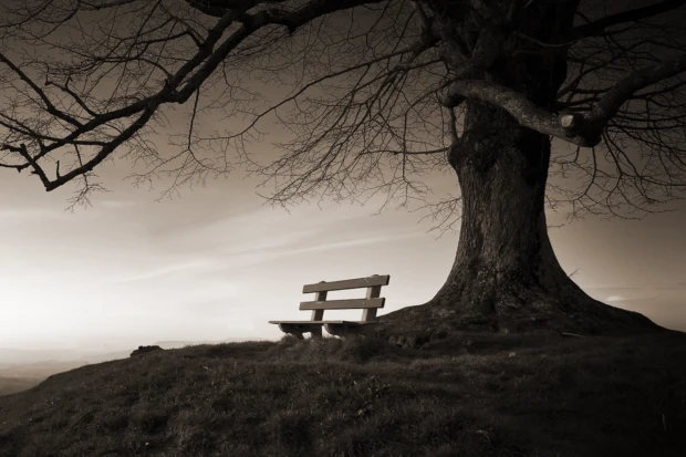 Der Morgen im Schatten