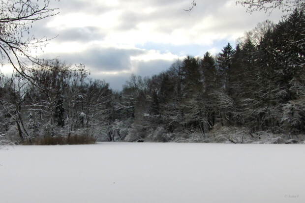 Wintersonnenwende | Raunächte