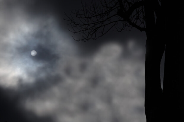 Walking under the moon