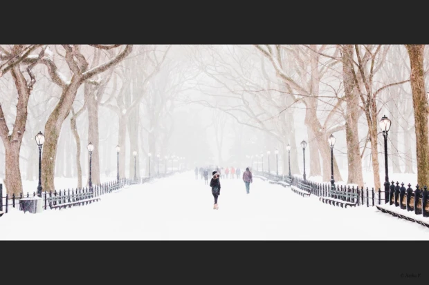 WordPress-Theme ASHE